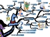 Managerial Blue Hat | Mind Map