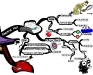 Neutral White Hat | Mind Map