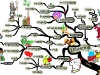 Energy Enhancing Nutrition & Mindset | Mind Map