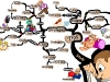 Study Tips & Strategies Incorporating Speed Reading & Photo Reading | Mind Map