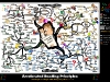 Accelerated Speed Reading Study Skills | Mind Map