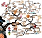 Basketball Dribbling Skills Tips for Training | Mind Map