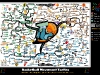 Basketball Movement Tactics | Mind Map