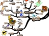 Simple Daily Actions You Can Take Before & During Sleep to Enhance Your Sleeping Patterns | Mind Map