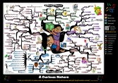 A Curious Nature mind map