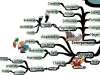 Extraordinary Leadership Essential Skills | Mind Map
