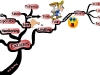 Self-Sabotaging Goal Setting Excuses | Mind Map