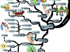 An In-depth Guide to the Goal Setting Process | Mind Map