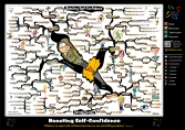 Boosting Self Confidence mind map