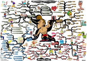 Physiology of Excellence mind map