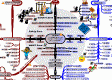 MasterMind Matrix: Action Patterns