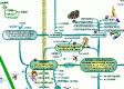 MasterMind Matrix: Spiritual Awareness
