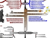 MasterMind Matrix: Alternative Paths | Concept Map