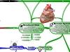 MasterMind Matrix: Emotional Mind | Concept Map