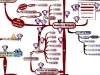MasterMind Matrix: Habitual Behaviors | Concept Map