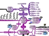 MasterMind Matrix: Perceptual Influence | Concept Map