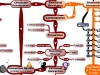 MasterMind Matrix: Resistance to Change | Concept Map