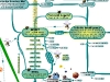 MasterMind Matrix: Spiritual Connections | Concept Map