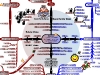 MasterMind Matrix: Taking Action | Concept Map
