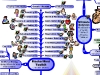 MasterMind Matrix: Skills Toolkit | Concept Map