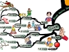 Study Matrix Reading Guidelines | Mind Map