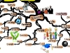 The Reasons for the Problems & Obstacles in our Lives | Mind Map