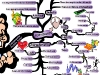 Indispensable Problem Solver Attributes, Beliefs & Characteristics | Mind Map