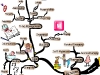 Simple Daily Actions You Can Take to Immediately Relieve Your Levels of Stress | Mind Map