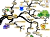Nutritional Guidelines to Help Reduce & Eliminate Stress Levels | Mind Map