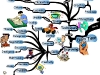 How to Gain More Time Throughout Your Day | Mind Map