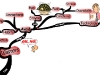 Common Time Wasters & How to Avoid them | Mind Map