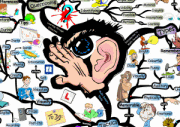 Multi-Sensory Study Skills
