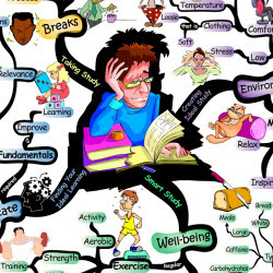 Developing Smart Study Habits | IQ Matrix