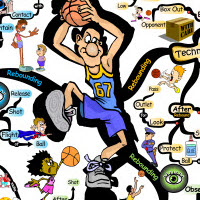 Basketball Rebounding Skills | IQ Matrix