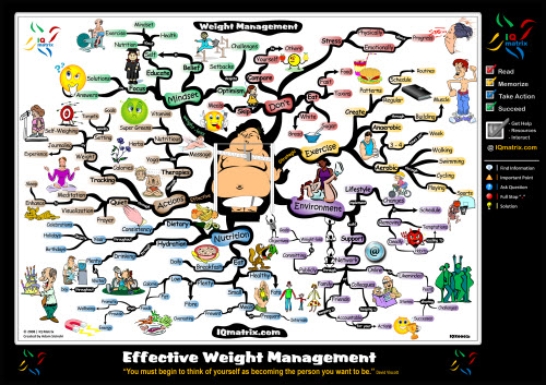 Weightloss: 25 Effective Strategies - Mind Map weight management Weight loss: 25 Effective Strategies