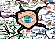 How to Mind Map: A Beginner’s Guide