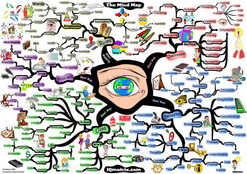 How to Mind Map: A Beginner's Guide | IQ Matrix