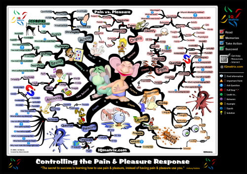 Pain vs Pleasure Principle IQ Matrix Mind Map Pain vs Pleasure Principle IQ Matrix Mind Map