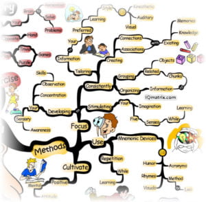 A Beginner's Guide for Improving Your Memory and Recall