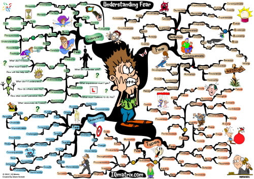 Lessons in Understanding Fear mind map