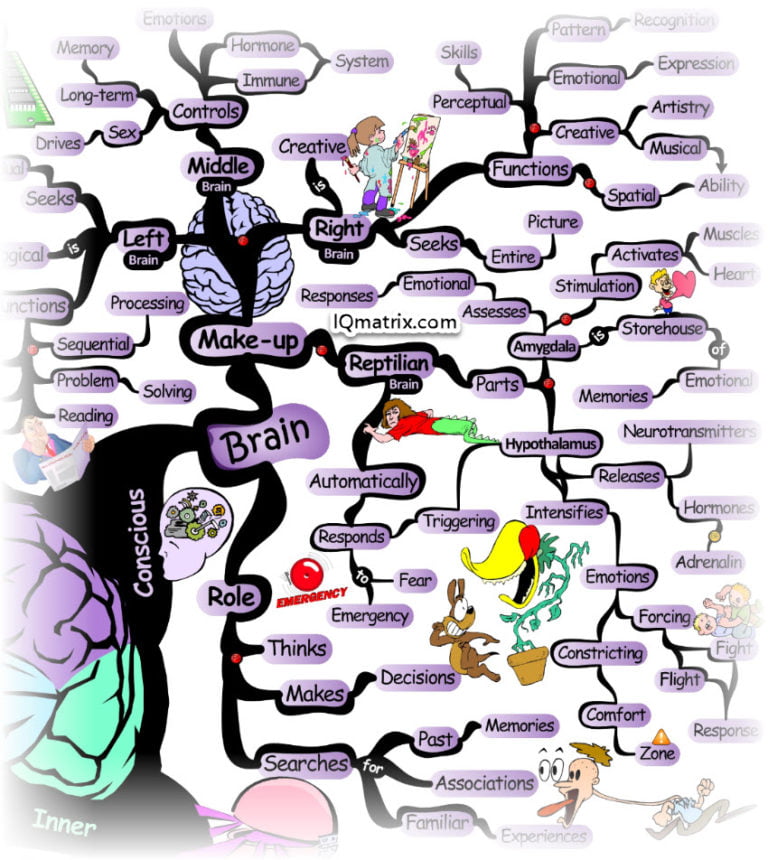 Here's How Your Brain, Thoughts and Habits are Shaping Your Life