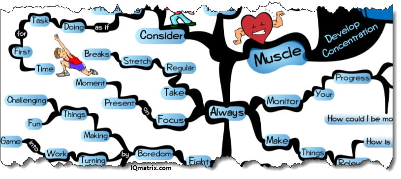 Developing Your Concentration Muscle